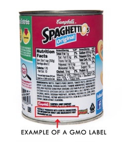 F160471_SpaghettiOs_New_Labels-0091