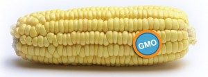 corn-label-300x111