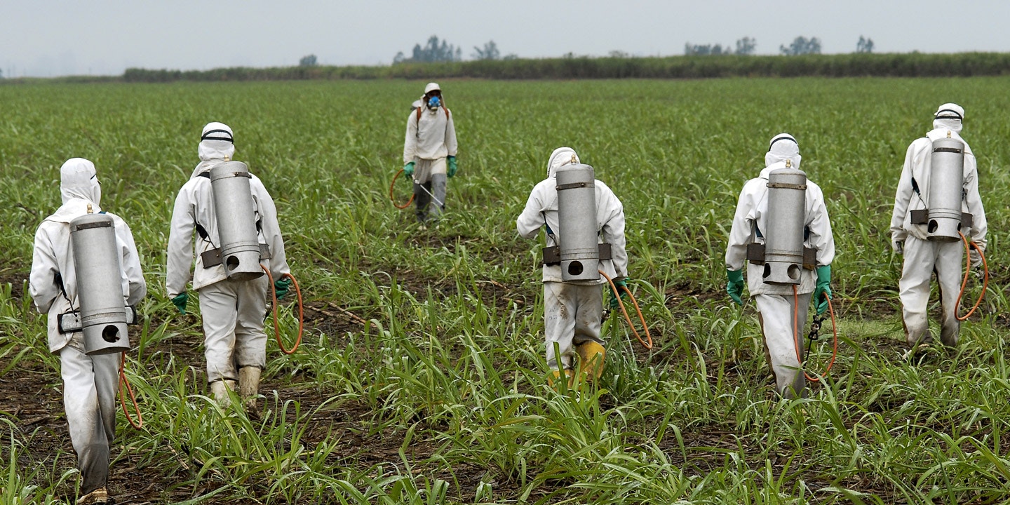 Farmworkers at High Risk During Coronavirus Pandemic - Beyond 