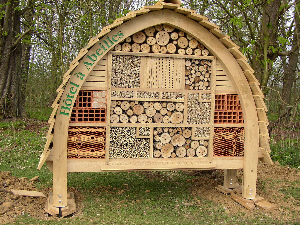 build-your-own-native-bee-house-beyond-pesticides