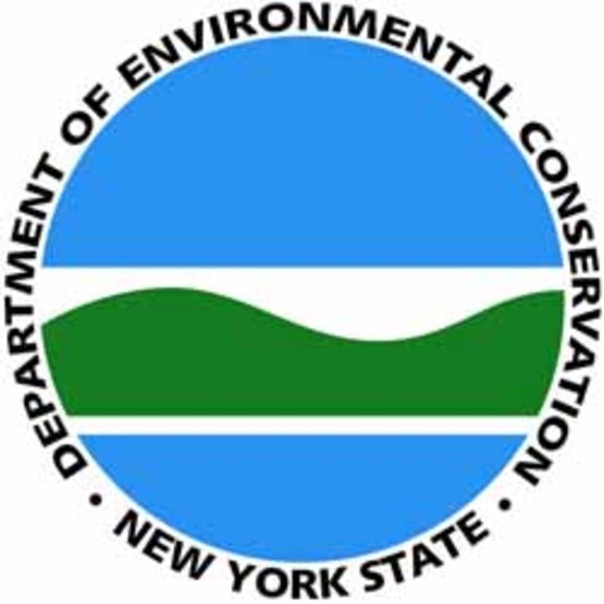 Ny state department environmental conservation jobs