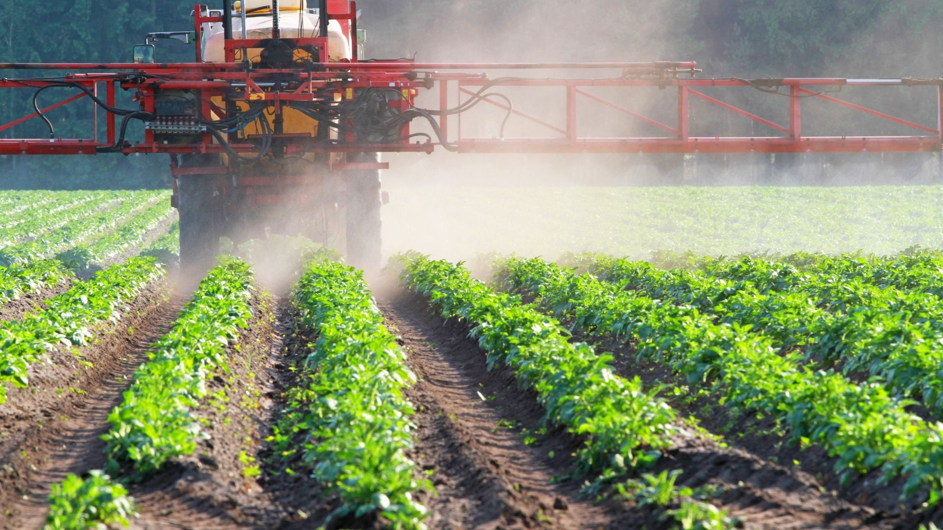 Weedkiller prone to drifting out of control with chemical industry driving