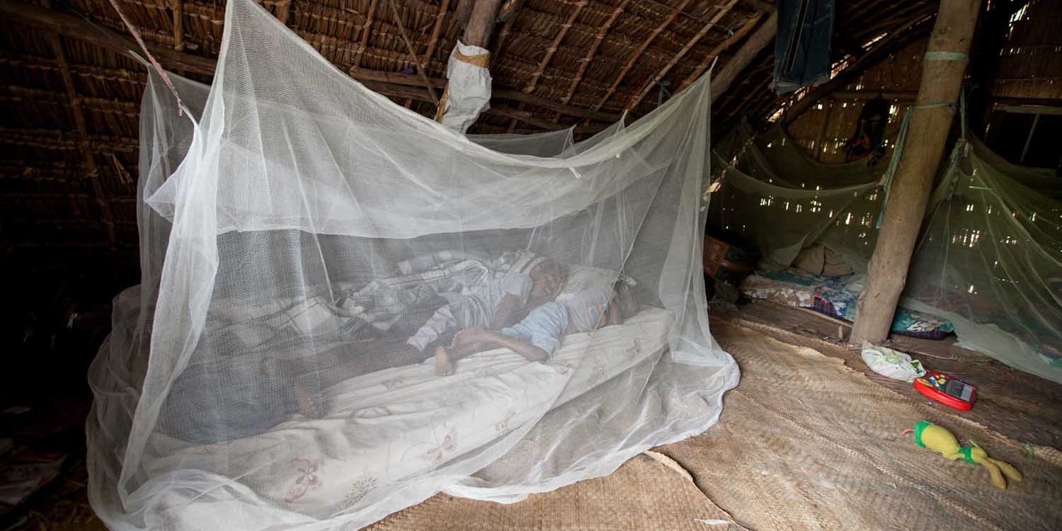 Insecticidal Bed Nets Contribute to Resistance in Bed Bug Populations -  Beyond Pesticides Daily News Blog