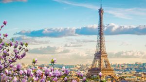 Over 2 million people in France signed a petition that ultimately prevented the overturning of the country’s ban on bee-killing neonicotinoid insecticides.