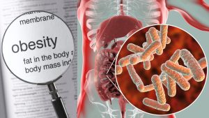 Studies find the widely used insecticide, permethrin, disrupts the balance of gut microbiota and leads to obesity.