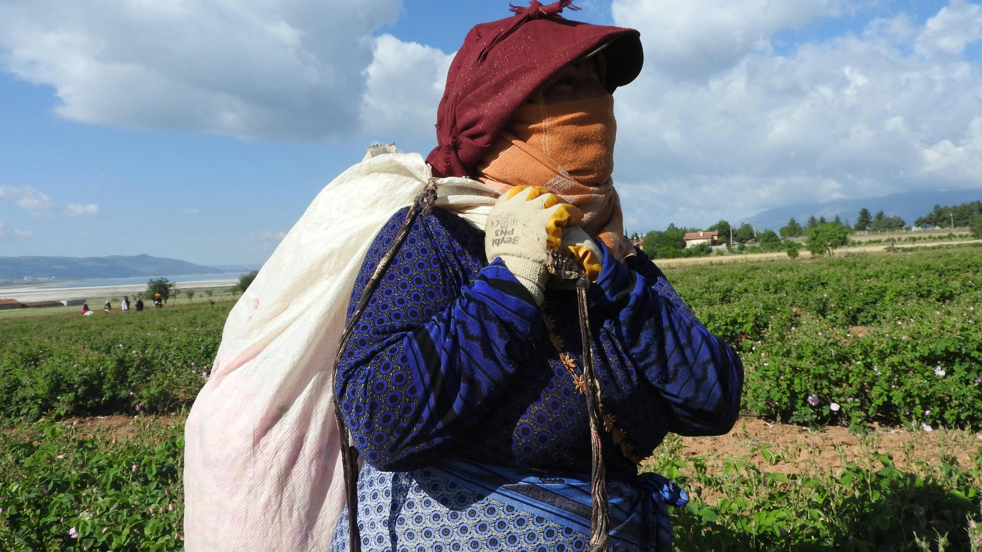 Image credit: [Mahmut yilmaz from Pexels] via Canva.com