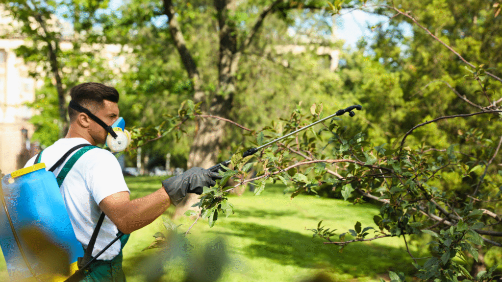 Banned and Current Use Pesticides, Some from Outdoor Use, in Indoor ...