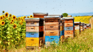 In a new study, researchers detected 15 currently used pesticides (CUPs) in the pollen of beehives in the environment.