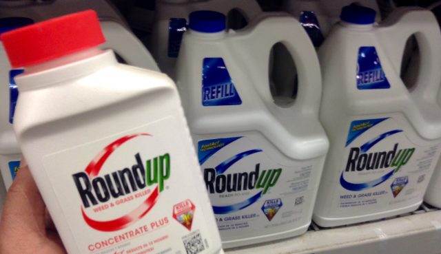 picture of a hand holding container of RoundUp pesticide