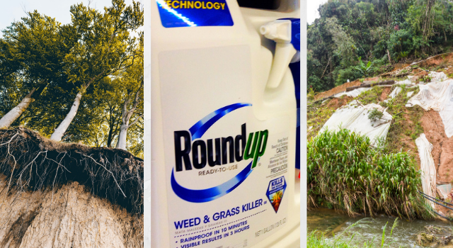 Commentary: Will Playing Fields, Parks, and Lawns Be Safe After Glyphosate  in Roundup Residential Use Ends in 2023? - Beyond Pesticides Daily News Blog