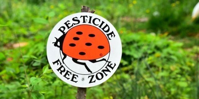Ban Pesticides