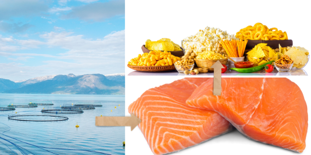 Free Alaskan Salmon: Just Bring a Net and Expect a Crowd - The New