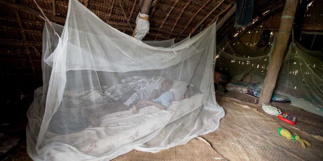 Insecticidal Bed Nets Contribute to Resistance in Bed Bug Populations -  Beyond Pesticides Daily News Blog