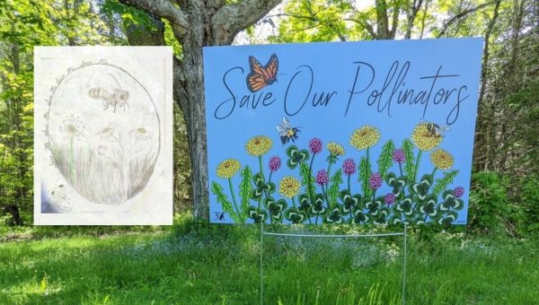 Save our Pollinators sign and drawing! Tree and lawn in the background.