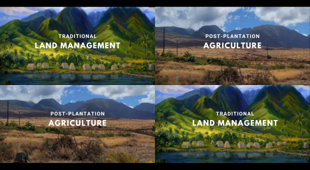 Maui wildfires — tranditional land management and post plantation agriculture comparison