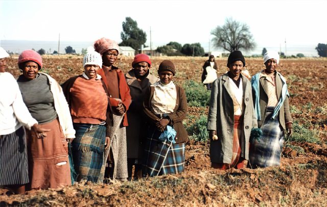 South African farmworkers stand in a field.