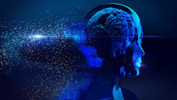 Drawing of brain inside a human head Drawing of brain inside a human head