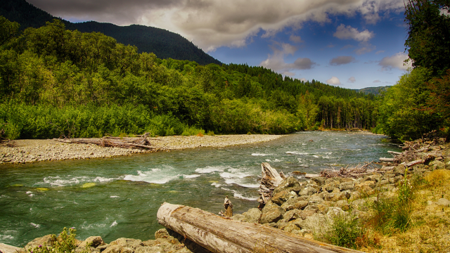 Elwha river, an example of partnership honoring indigenous knowledge