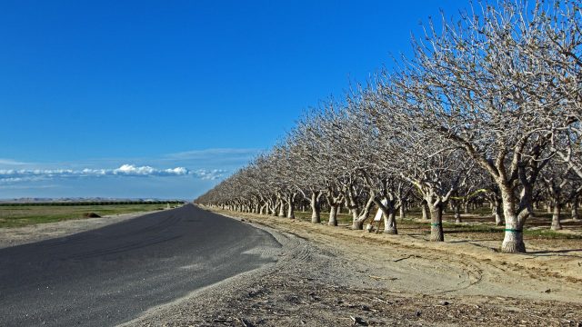 California Department of Pesticide Reg new regulations California Department of Pesticide Reg new regulations
