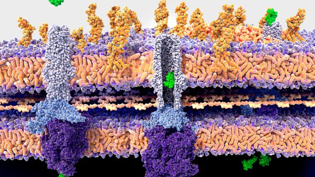 antimicrobial image of colorful illustration of a cell