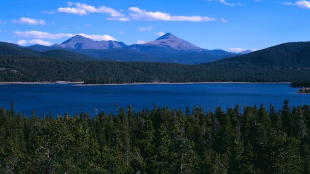 The EPA is putting on hold its Vulnerable Species Project as advocates are calling for the strengthening of FIFRA-ESA. The EPA is putting on hold its Vulnerable Species Project as advocates are calling for the strengthening of FIFRA-ESA.