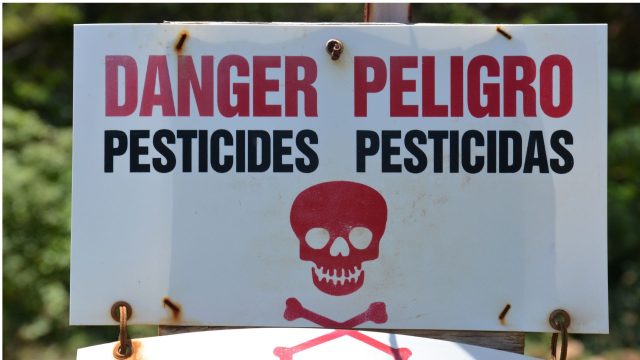 Danger of pesticides: US pesticide regulation is failing the hardest-hit communities—including farmworkers and people of color—in ongoing environmental injustice.