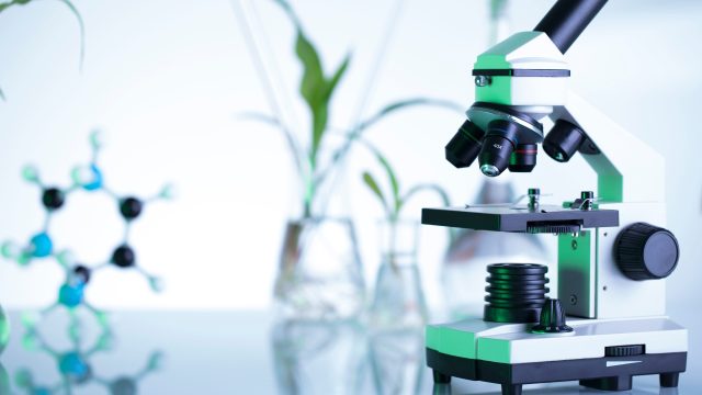 Research demonstrates the complexity of the threats associated with environmental obesogens and the severe limitations of pesticide regulation.