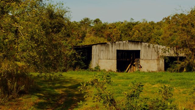 Last week, the first application was filed for Maine’s first-in-the nation PFAS Fund to compensate impacted farmers.