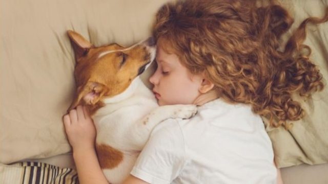 dog and child sleeping together