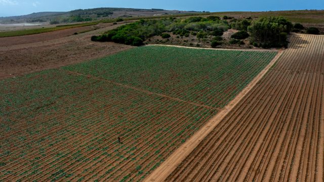 Despite the existence of an organic community with governing stakeholders that has evolved over at least seven decades and is codified in national law, regenerative agriculture is now increasingly being advanced as a loosely defined alternative to the organic standard and label.