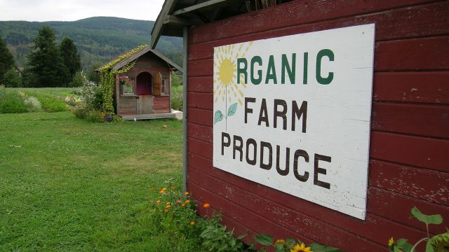 Farm of organic crop produce—Beyond Pesticides asks the public to join in commenting on priority issues as advocates seek to keep organic on the cutting edge of change.