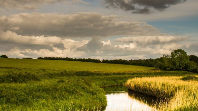 The authors of a case study in Canale D’Aiedda, Taranto, Italy conclude the presence of glyphosate and copper in regional waterway.