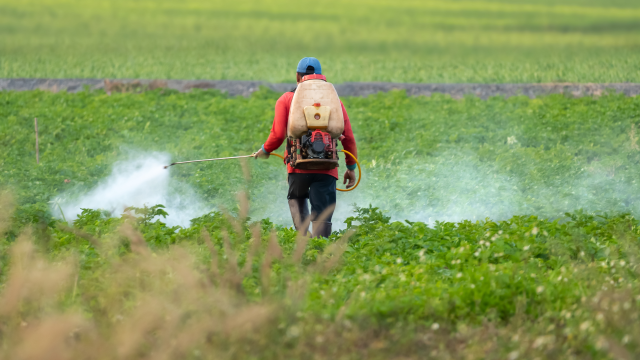 In a study from earlier this year, scientists examined research regarding the use of pesticides and adverse effects including genotoxicity.