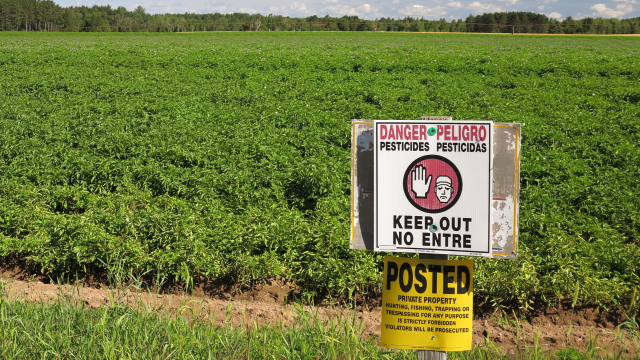 Pesticide residues on food crops