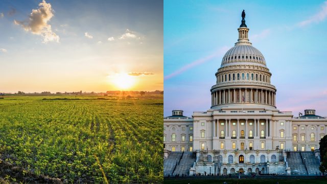 The House Agriculture Committee voted to move the farm bill out of committee undermining water health, soil health, and local democratic authority.