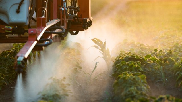 U.S. Environmental Protection Agency (EPA) proposes ending agricultural use of acephate, an organophosphate pesticide, a well-known neurotoxicant.