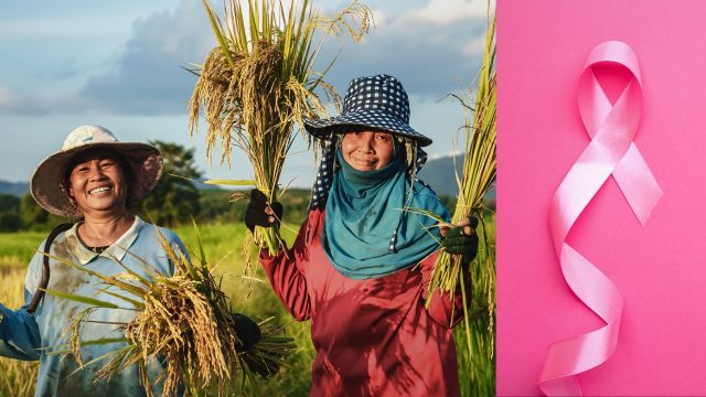 A comprehensive literature review finds strong linkages between direct and acute pesticide exposure and elevated risk of breast cancer (BC). A comprehensive literature review finds strong linkages between direct and acute pesticide exposure and elevated risk of breast cancer (BC).