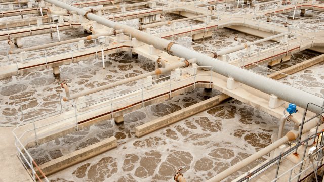 Public Employees for Environmental Responsibility (PEER) sue EPA on behalf of Texas farmers over PFAS-contaminated biosolids and fertilizers Public Employees for Environmental Responsibility (PEER) sue EPA on behalf of Texas farmers over PFAS-contaminated biosolids and fertilizers