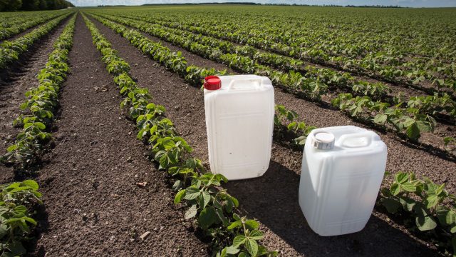 The Center for Food Safety—with Beyond Pesticides' endorsement—submitted a groundbreaking petition to EPA urging immediate action to address PFAS in pesticides and pesticide containers. The Center for Food Safety—with Beyond Pesticides' endorsement—submitted a groundbreaking petition to EPA urging immediate action to address PFAS in pesticides and pesticide containers.