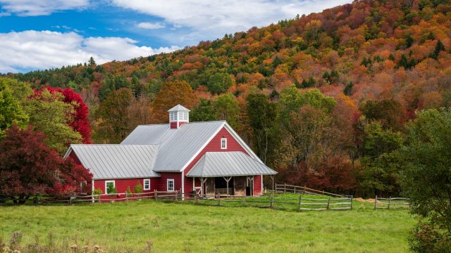 In June, the Vermont legislature officially passed into law the narrowing and reduction of neonicotinoid insecticides and treated seeds, builds on NY law. In June, the Vermont legislature officially passed into law the narrowing and reduction of neonicotinoid insecticides and treated seeds, builds on NY law.
