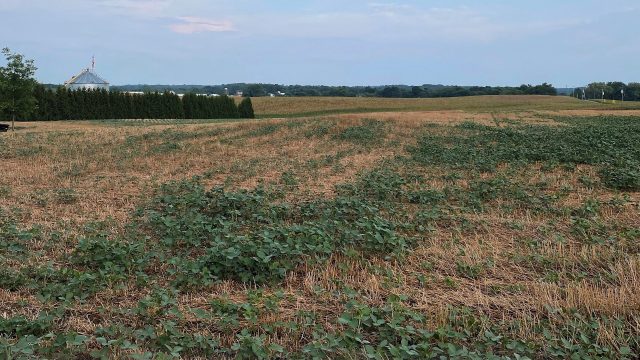 Unpacking the coordination between carbon markets, toxic pesticide products, and industrial agriculture to reframe their business models as "climate-smart."