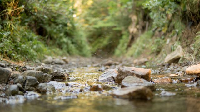 Research Shows Streams Transporting Pollutants No Longer Regulated by EPA after Supreme Court Decision