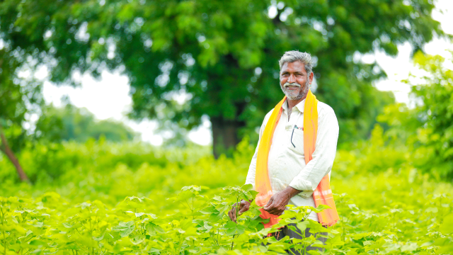 In the face of many crises involving illnesses and ecological decline, studies find organic land management promotes soil and human health.