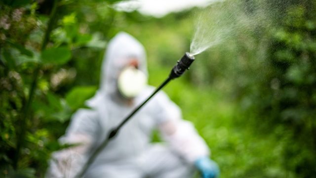 Let EPA and Congress know that it must comprehensively eliminate nontarget chemical trespass—protect against all forms of pesticide drift.