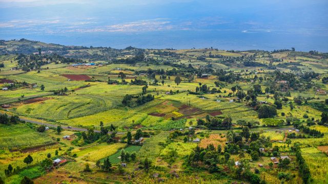 Be it Kenya, Brazil, the European Union, or Mercosur, there is a growing leadership aiming to strengthen pesticide restrictions in support of alternatives.