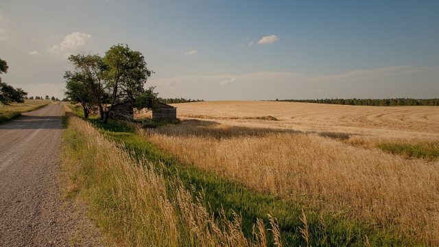 This National Organic Month, advocates, consumers, and farmers continue to call on policymakers to expand opportunities for small-scale organic production.