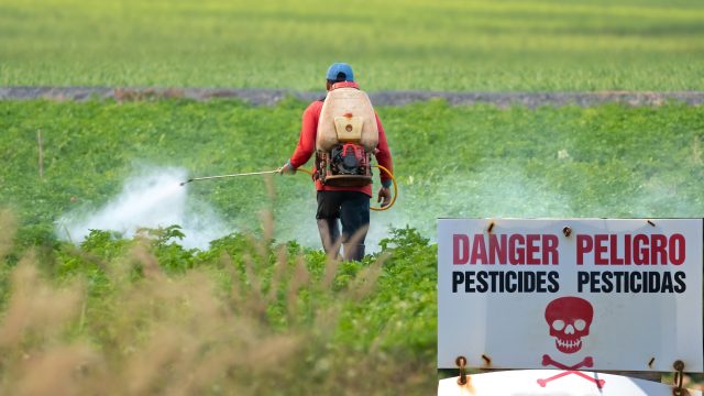 EPA Proposal for Chlorpyrifos Use, After Court Decision, Backtracks on Safety and Protection of Children