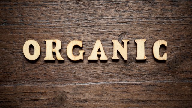 A review of existing USDA programs highlights insufficient support for beginning and young organic farmers, with opportunities identified to build capacity.