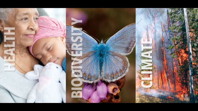 On October 30 at 2 PM EDT, Beyond Pesticides convenes its 41st National Forum: Imperatives for a Sustainable Future! Registration open!