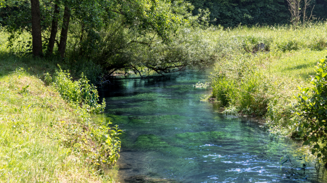 A study of five streams in Germany highlights the threat to terrestrial food webs through flooding from contaminated surface waters.